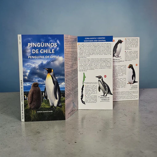 Guía Pingüinos de Chile 