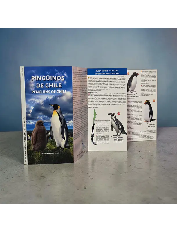 Guía Pingüinos de Chile  1