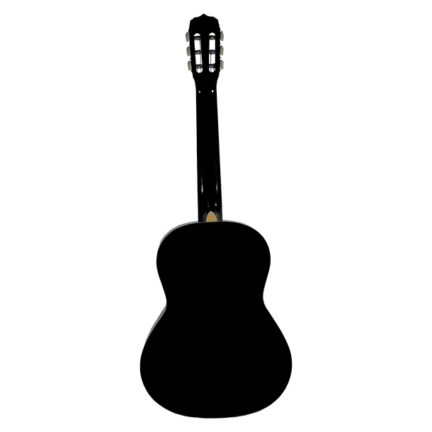 Guitarra acústica Vizcaya ARCG44 - Black 3