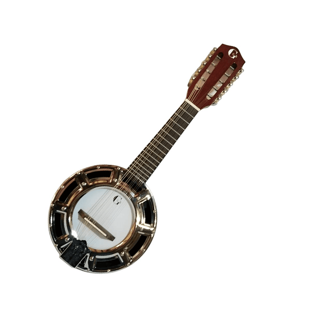 Banjo 10C con funda Rowell YWBJ-10 1