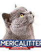 AMERICALITTER™ ULTRA ODOR SEAL 15 kg - Miniatura 2