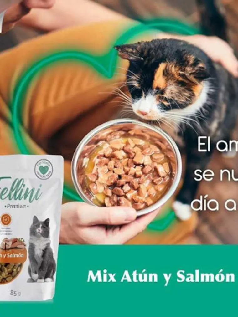 Fellini Sachet Mix de Atún y Salmón 85g 2