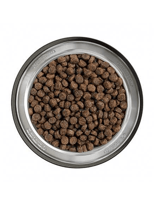 BELCANDO FINEST GF SALMON 4 KG