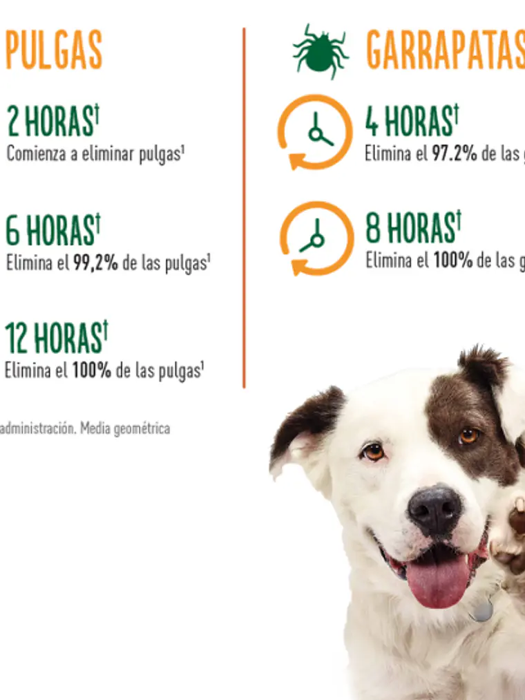 CREDELIO PERROS 900 mg 22 a 45 kg 2