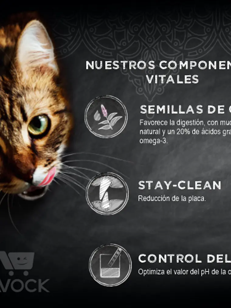 Leonardo Gato Adulto Light 2 Kg 2