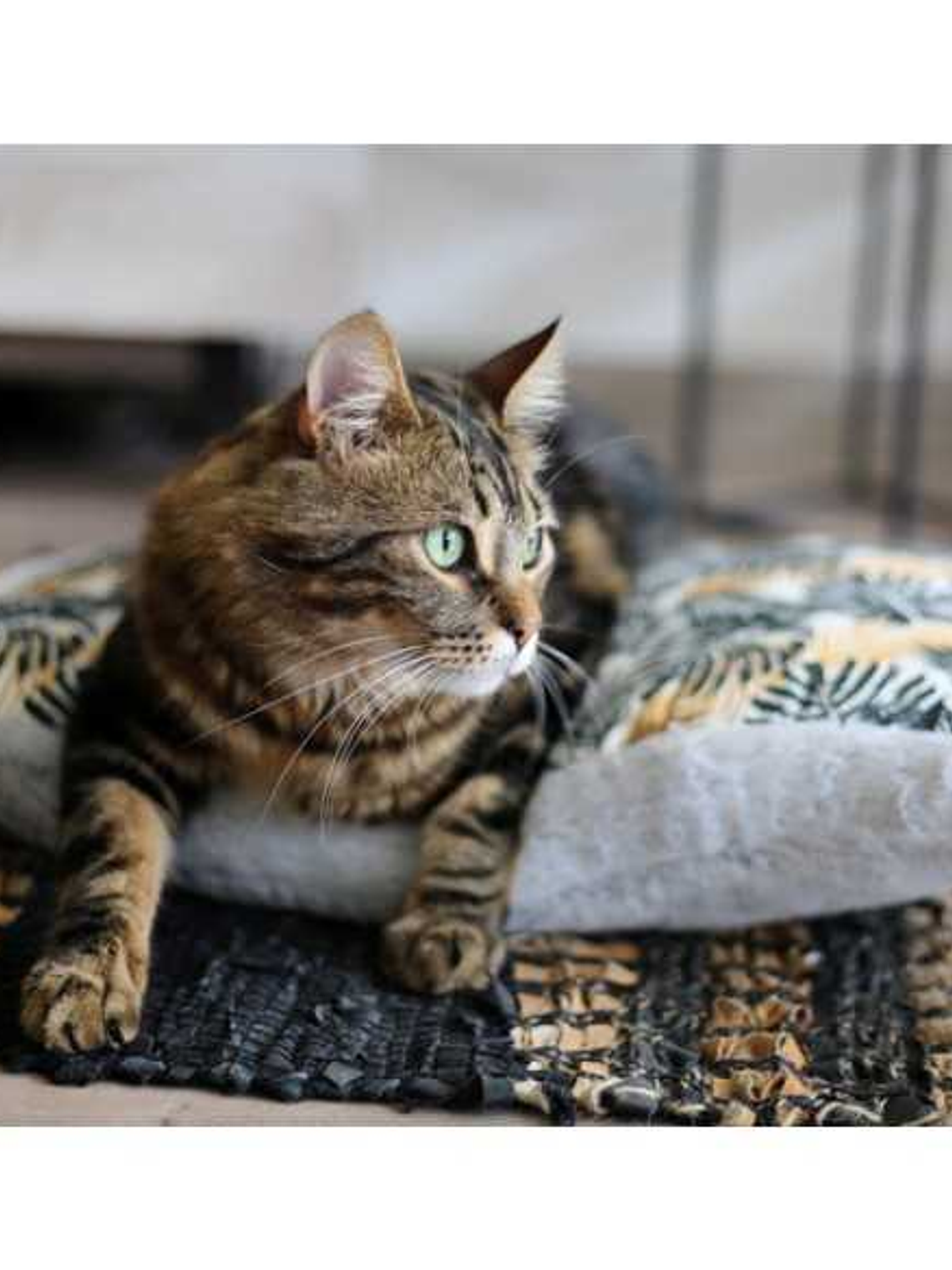 COLCHÓN ANTI-ESTRÉS LAVABLE 4