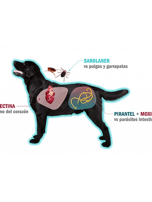 SIMPARICA TRIO PERRO  PARA 2.5 a 5 KG 1 COMP