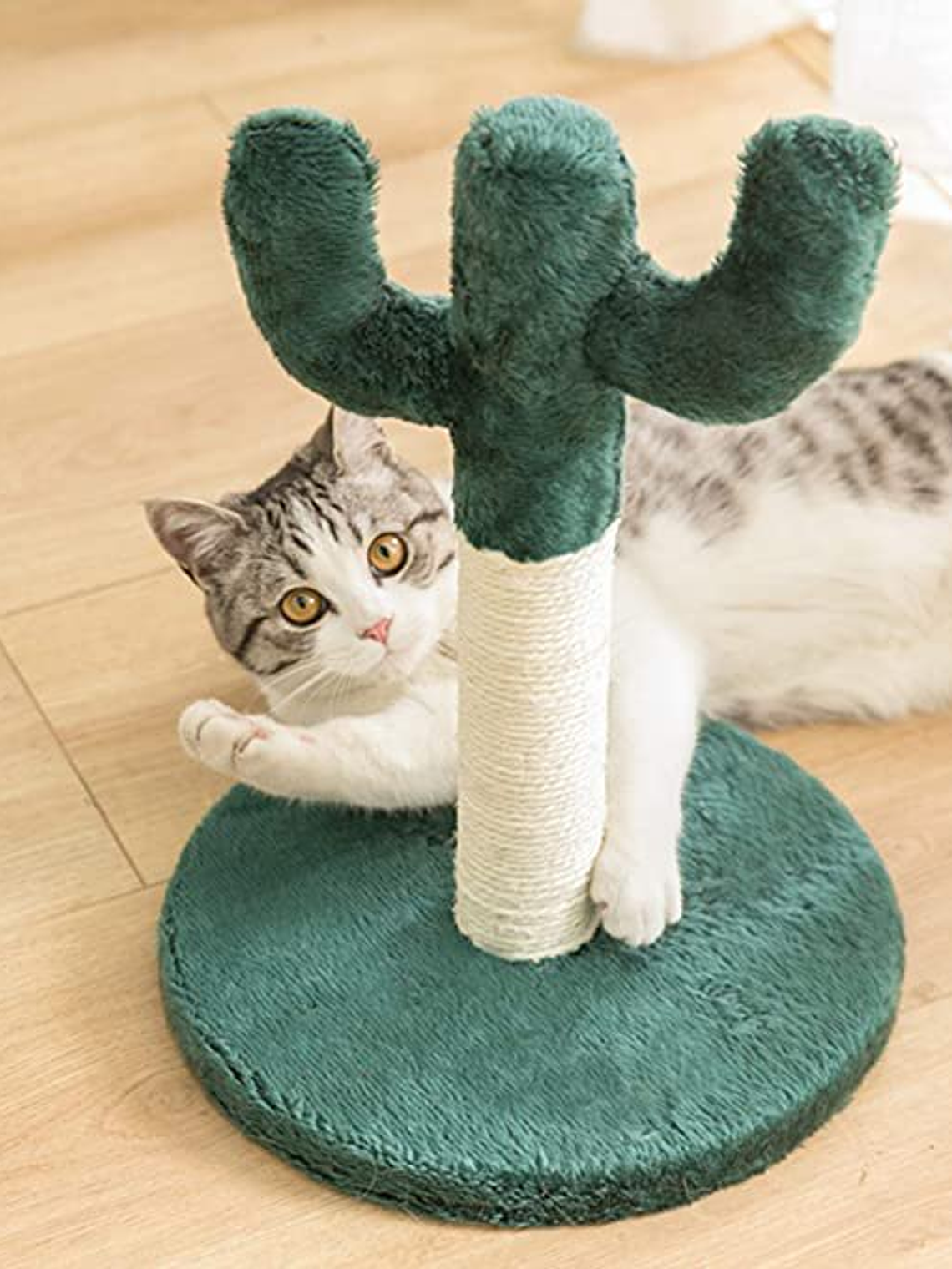 Rascador de Cactus Gato 2