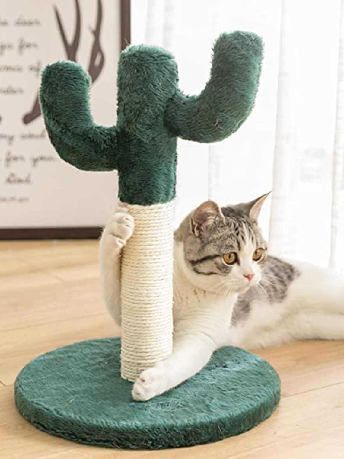 Rascador de Cactus Gato 1