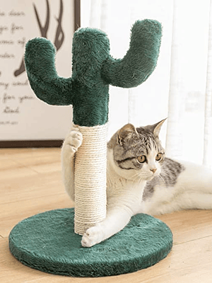 Rascador de Cactus Gato