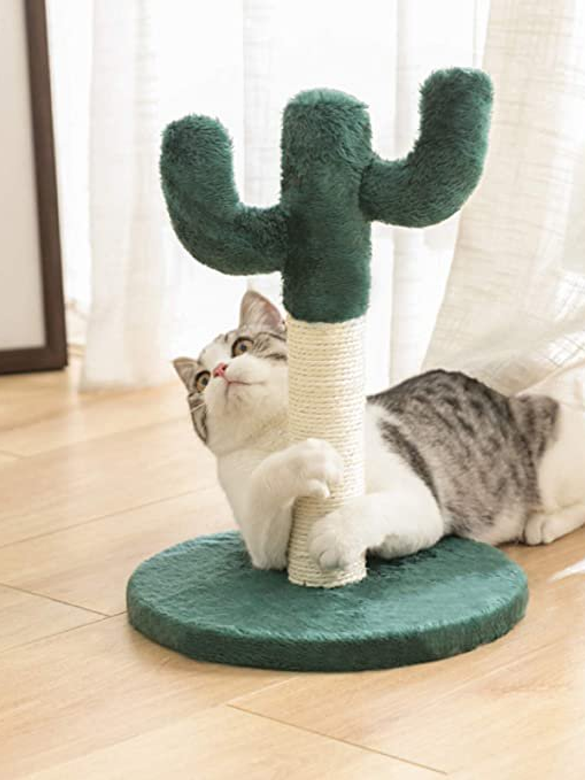 Rascador de Cactus Gato 3