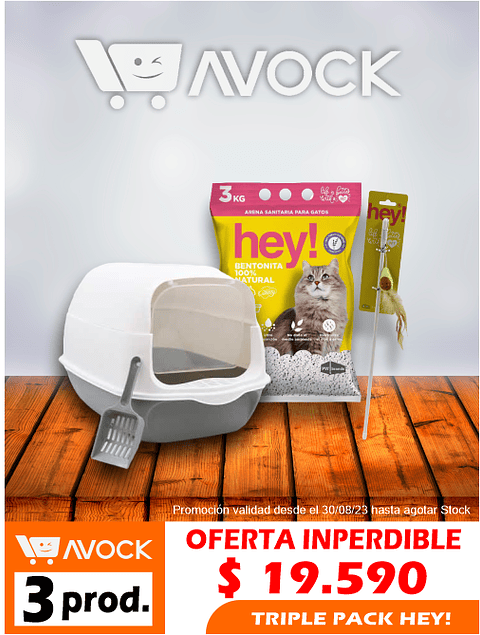 Pack Arenero + Arena + 1 Juguete GRATIS