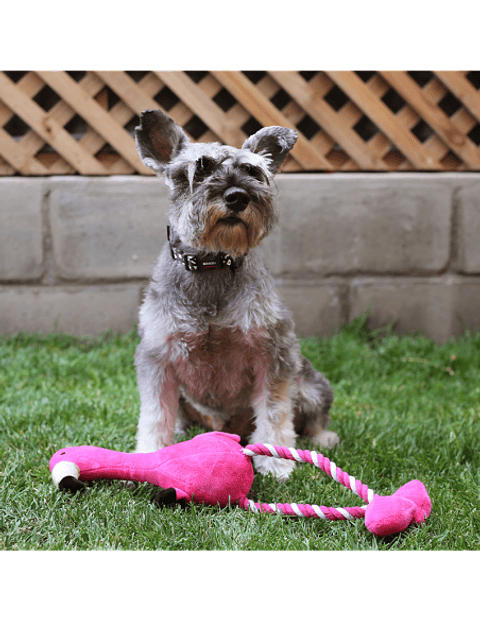 BRNX PLUSH CUERDA FLAMENCO XL