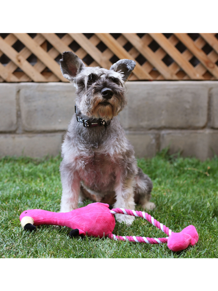 BRNX PLUSH CUERDA FLAMENCO XL 2