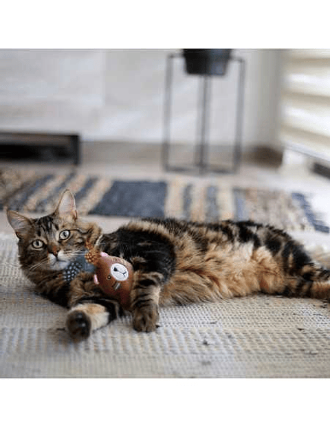 BRNX CAT MAXI TOY OSO