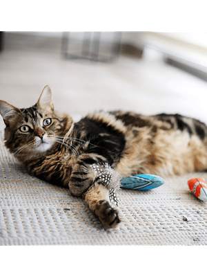 BRNX CAT MAXI TOY PLUMA BOHO CELESTE