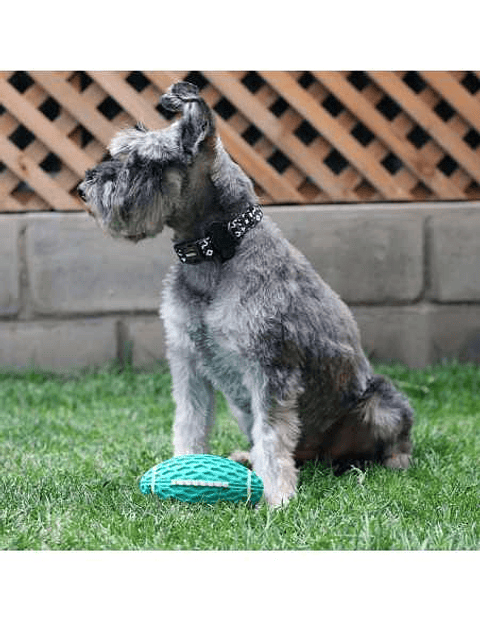 BRNX PELOTA RUGBY GOMA