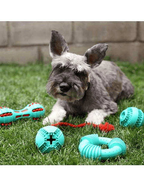 BRNX PELOTA DISPENSADORA DE PREMIOS GOMA