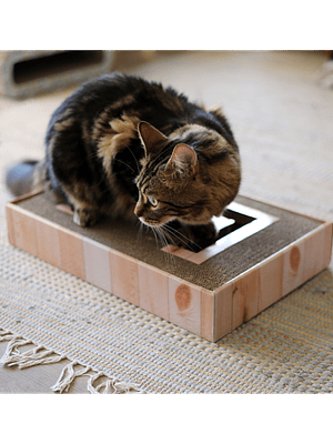 BRXN MAXI RASCADOR HORIZONTAL INTERACTIVO