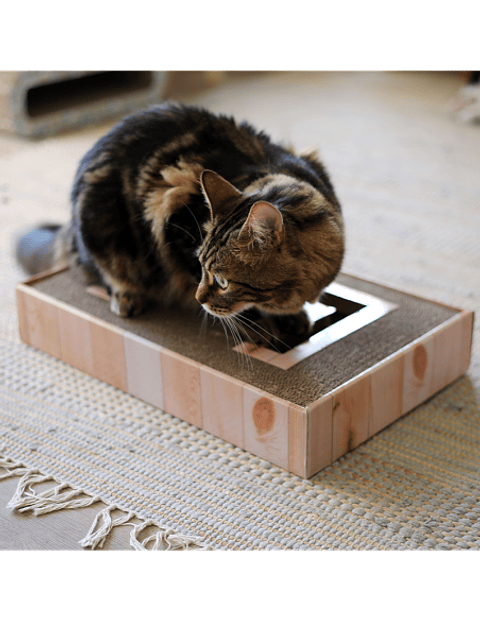 BRXN MAXI RASCADOR HORIZONTAL INTERACTIVO