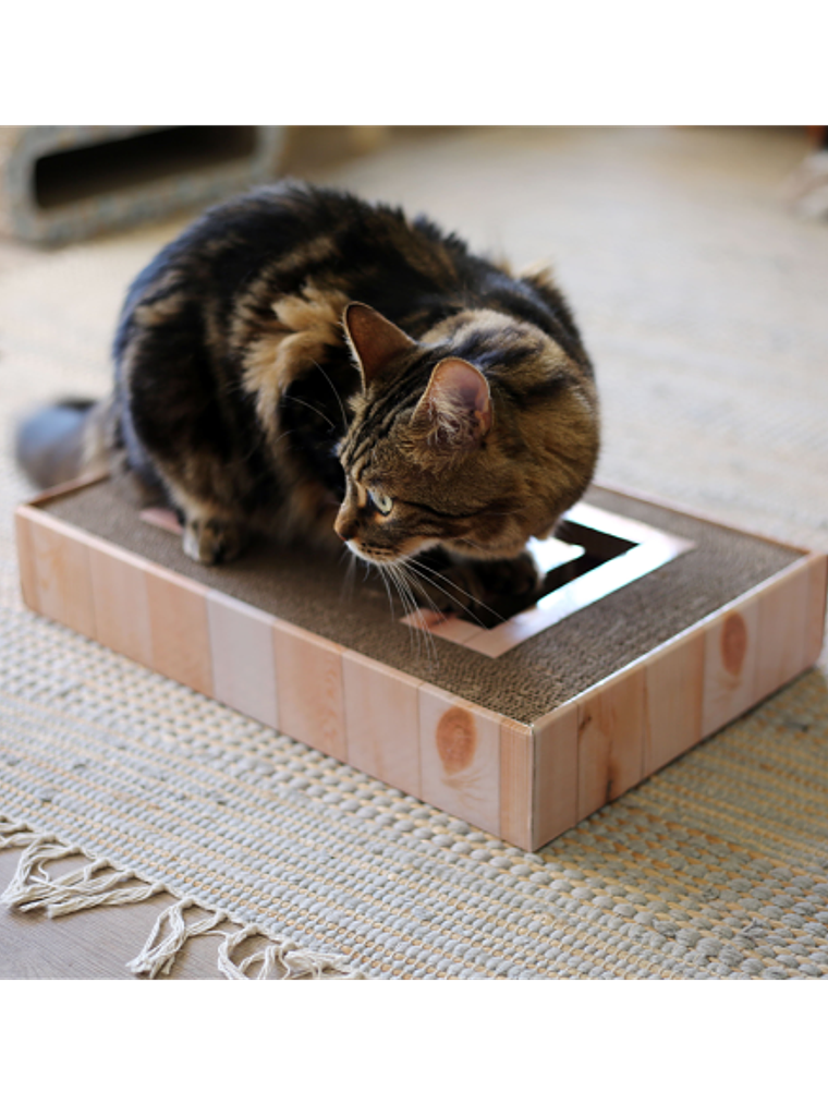 BRXN MAXI RASCADOR HORIZONTAL INTERACTIVO 2