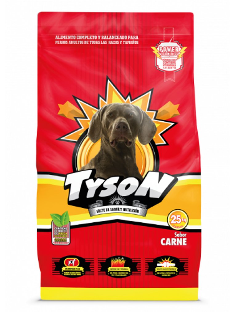 Tyson Adulto 25 Kg 2