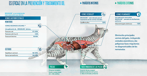 BROADLINE PIPETA GATO 0,9ML - 2,5-7,5KG