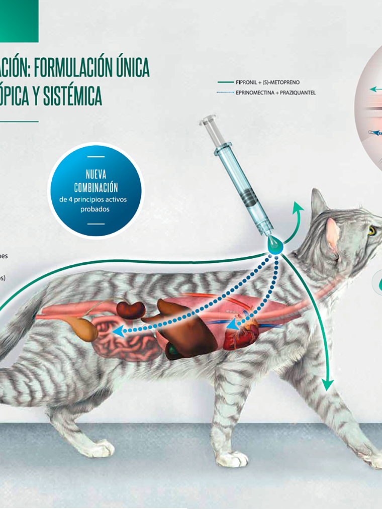 BROADLINE PIPETA GATO 0,3ML - 0,6 - 2,5 KG 3