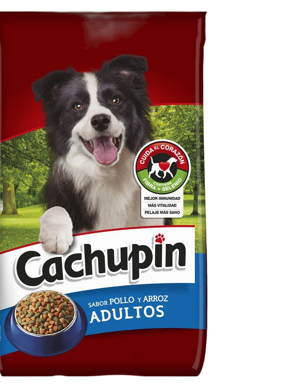 ALIMENTO CACHUPIN 9 KG POLLO Y ARROZ 1