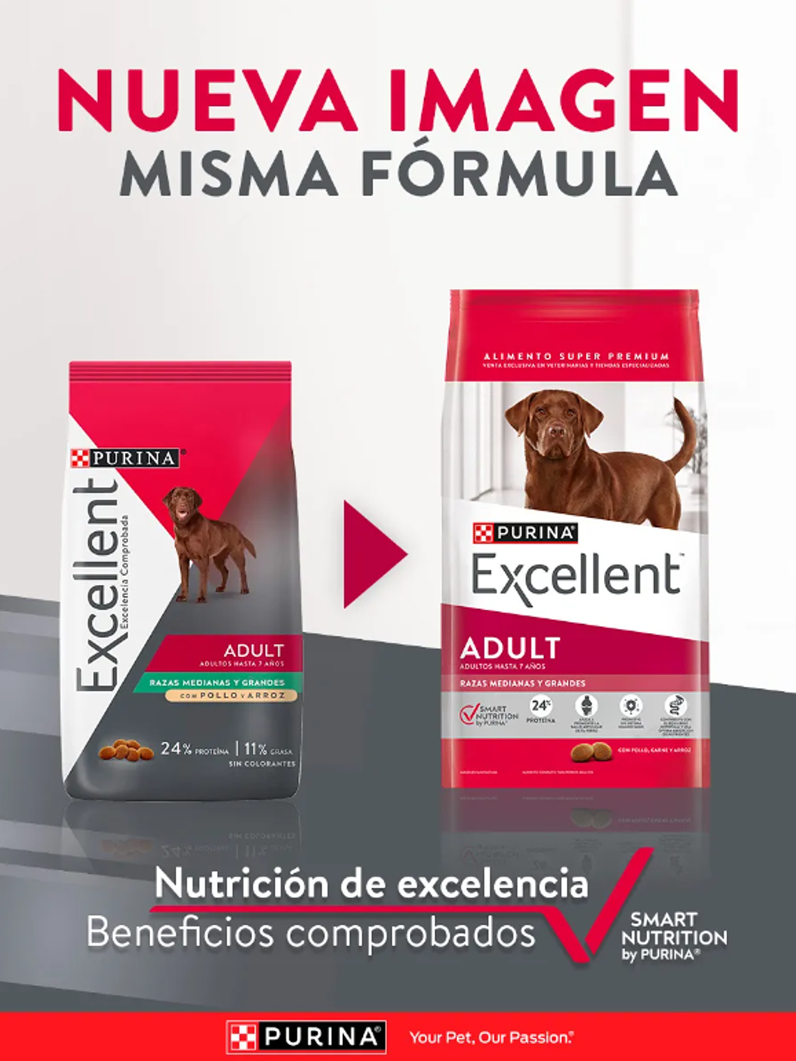 PURINA EXCELLENT ADULT RAZA MEDIANA/GRANDE 15KG 2