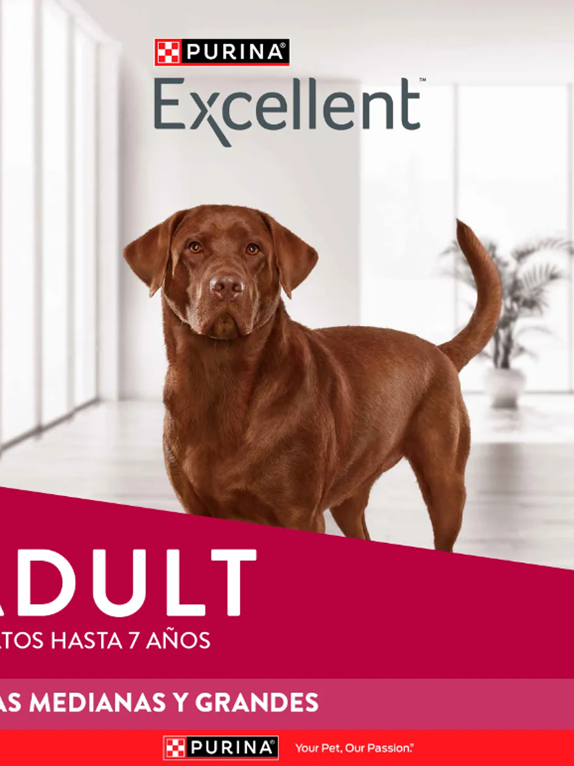 PURINA EXCELLENT ADULT RAZA MEDIANA/GRANDE 15KG 3