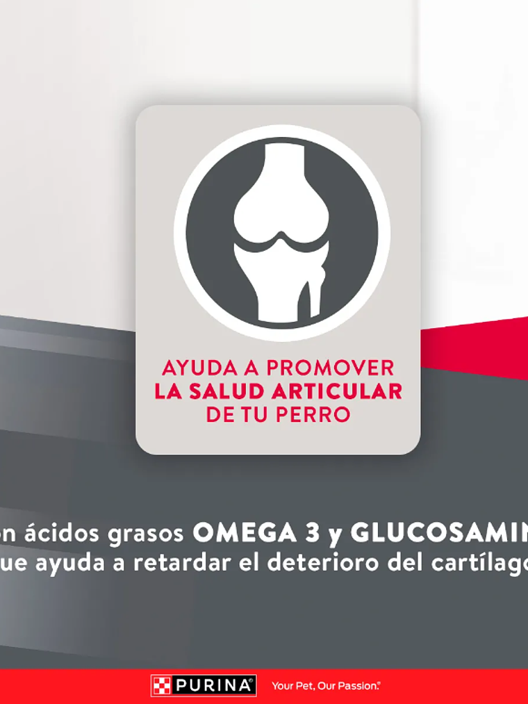 PURINA EXCELLENT ADULT RAZA MEDIANA/GRANDE 15KG 6