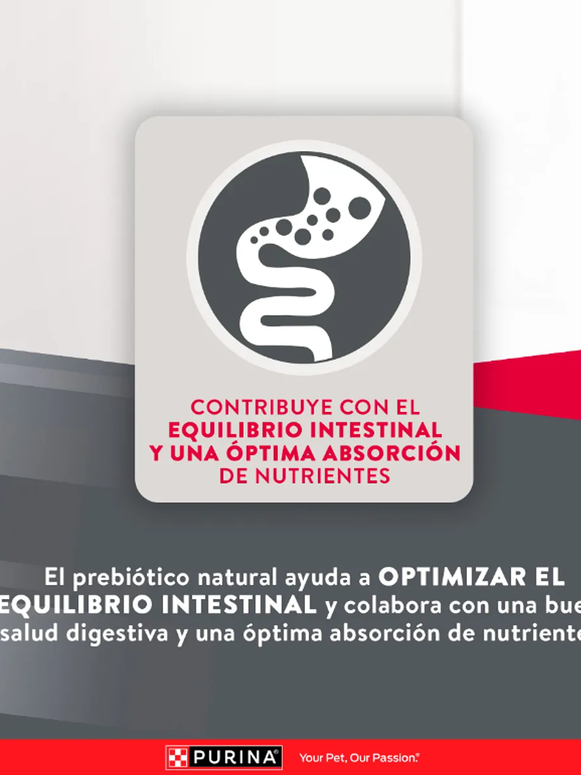 PURINA EXCELLENT ADULT RAZA MEDIANA/GRANDE 15KG 8