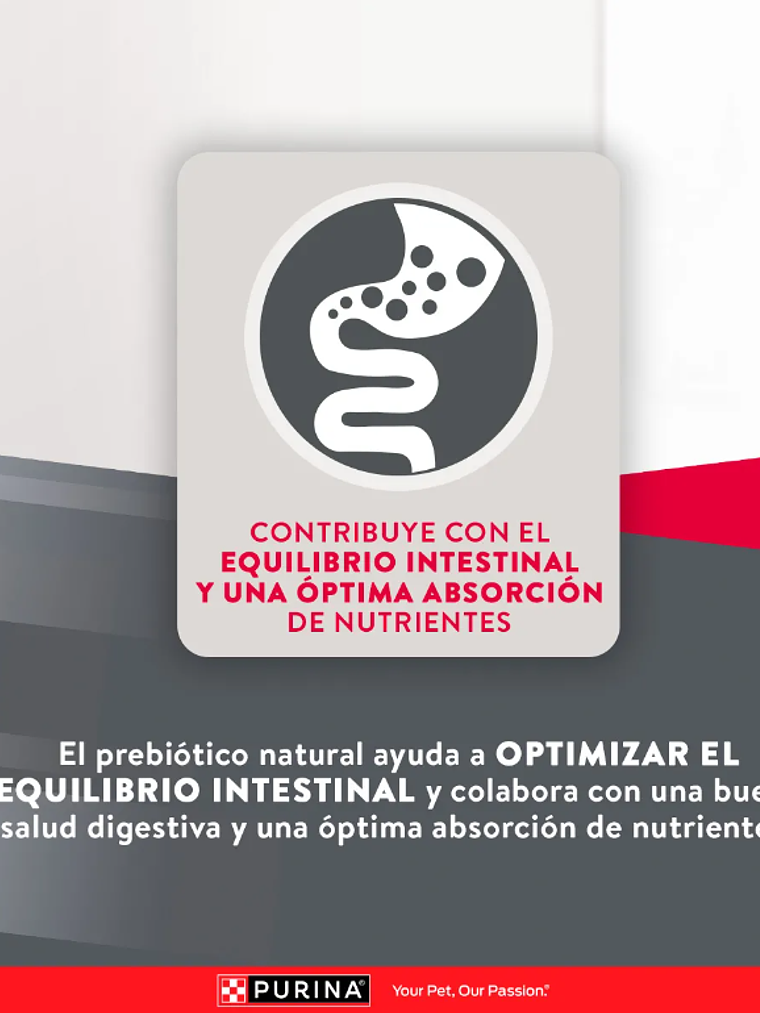 PURINA EXCELLENT ADULT RAZA MEDIANA/GRANDE 15KG 8