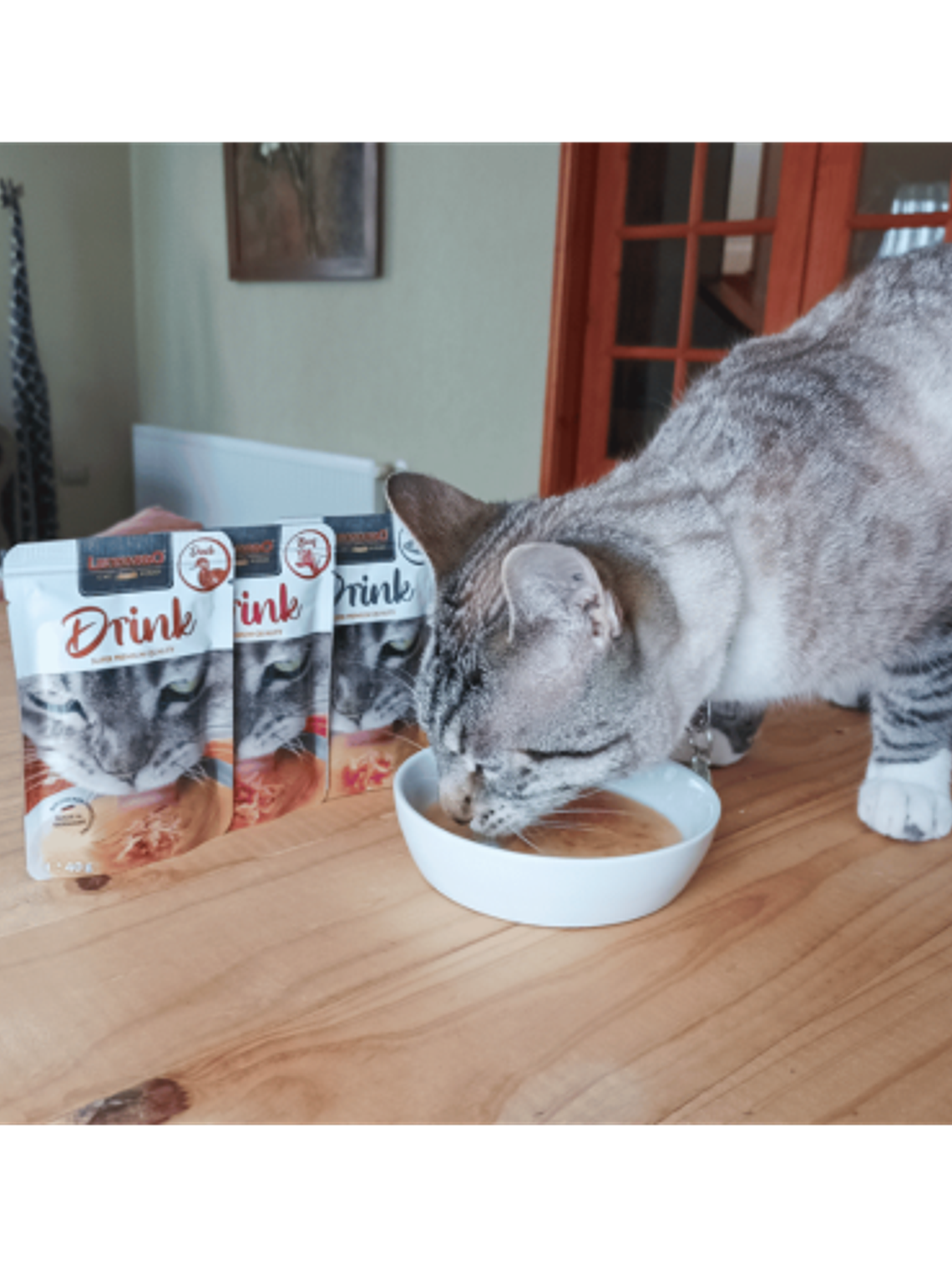 Leonardo Sopa Drink Salmon 40Grs  3