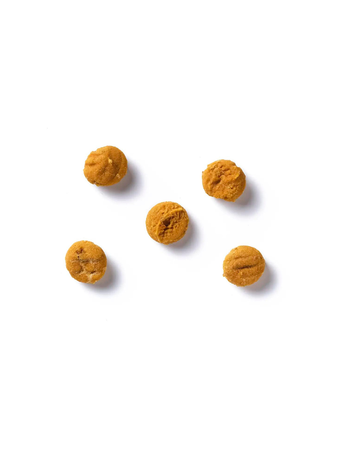 ANTOS INSECTA SACHET 100 GR  GUSANOS DE HARINA Y CALABAZA 2