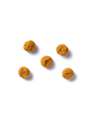 ANTOS INSECTA SACHET 100 GR  GUSANOS DE HARINA Y CALABAZA