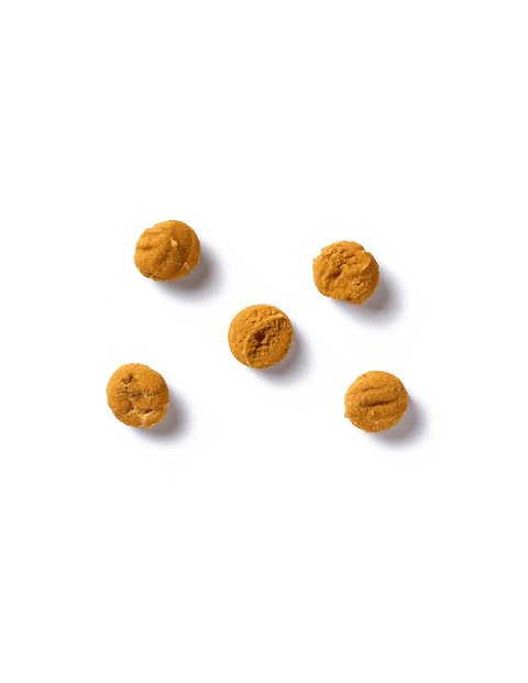 ANTOS INSECTA SACHET 100 GR  GUSANOS DE HARINA Y CALABAZA