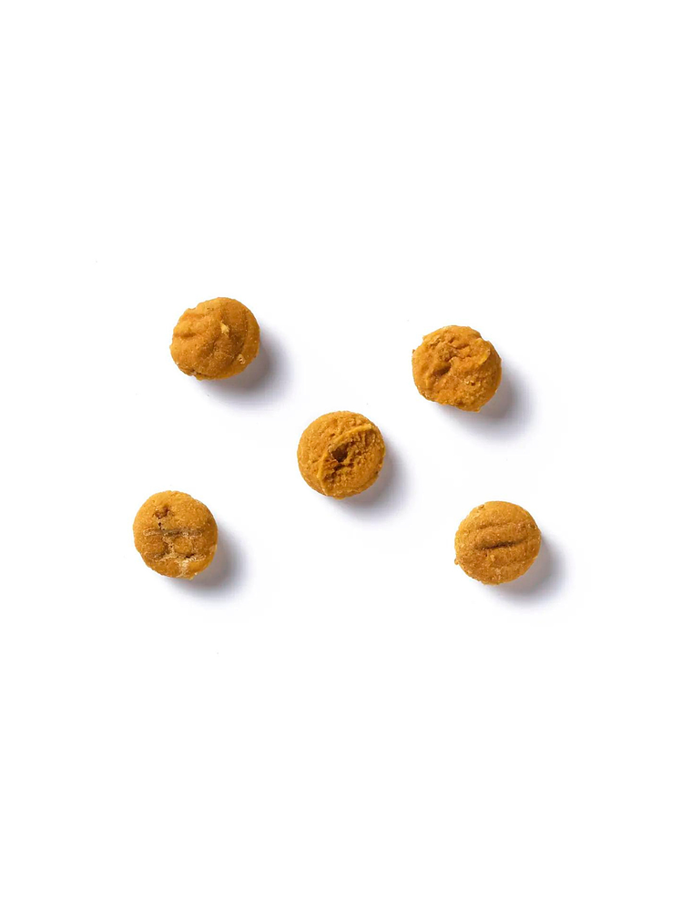 ANTOS INSECTA SACHET 100 GR  GUSANOS DE HARINA Y CALABAZA 2