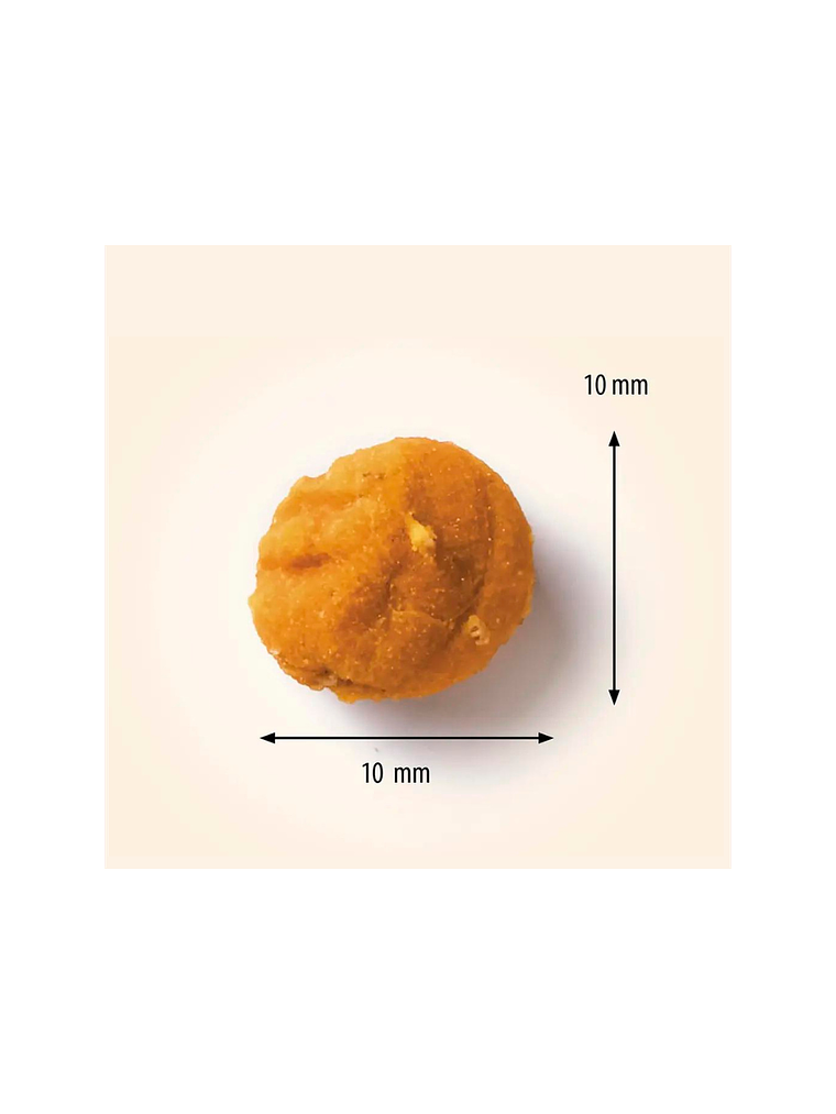 ANTOS INSECTA SACHET 100 GR  GUSANOS DE HARINA Y CALABAZA 4