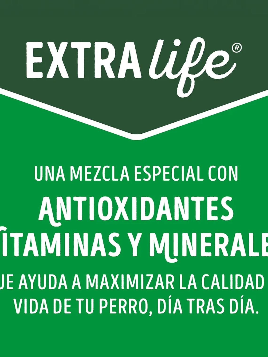 DOG CHOW EXTRALIFE ADULTO MINI Y PEQUEÑOS POLLO/PAVO 8KG 6