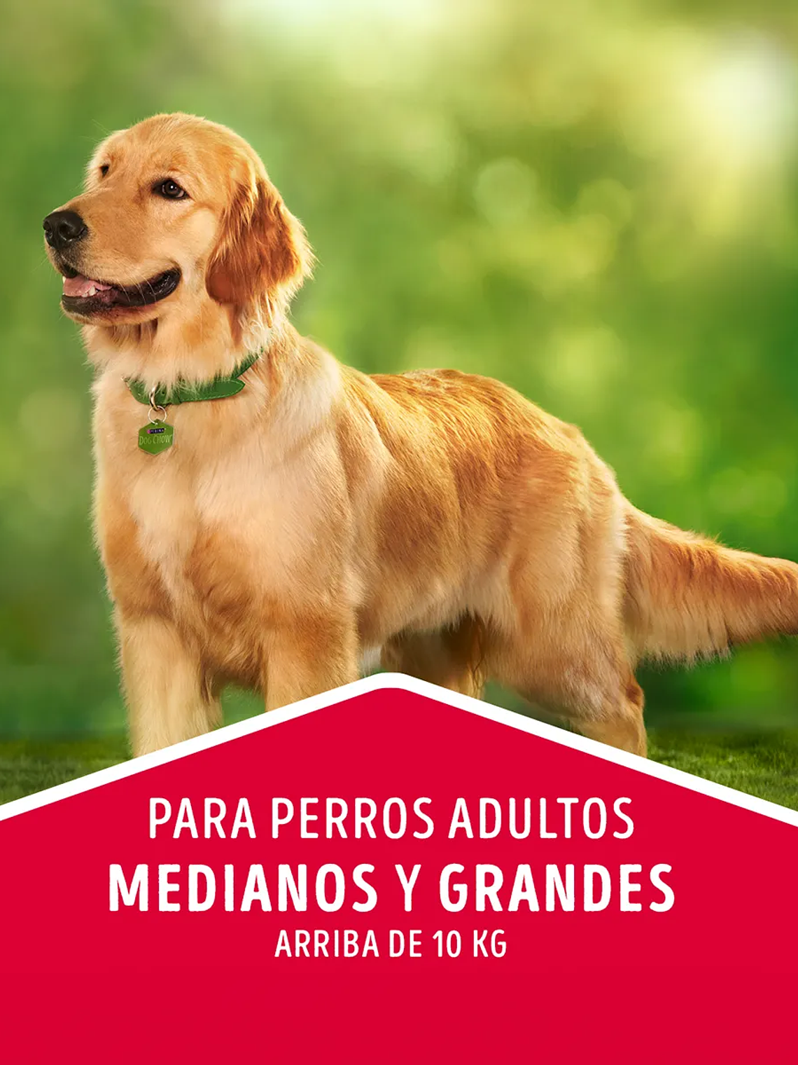 DOG CHOW EXTRALIFE ADULTO MEDIANOS Y GRANDES CARNE/POLLO 24 KG 3