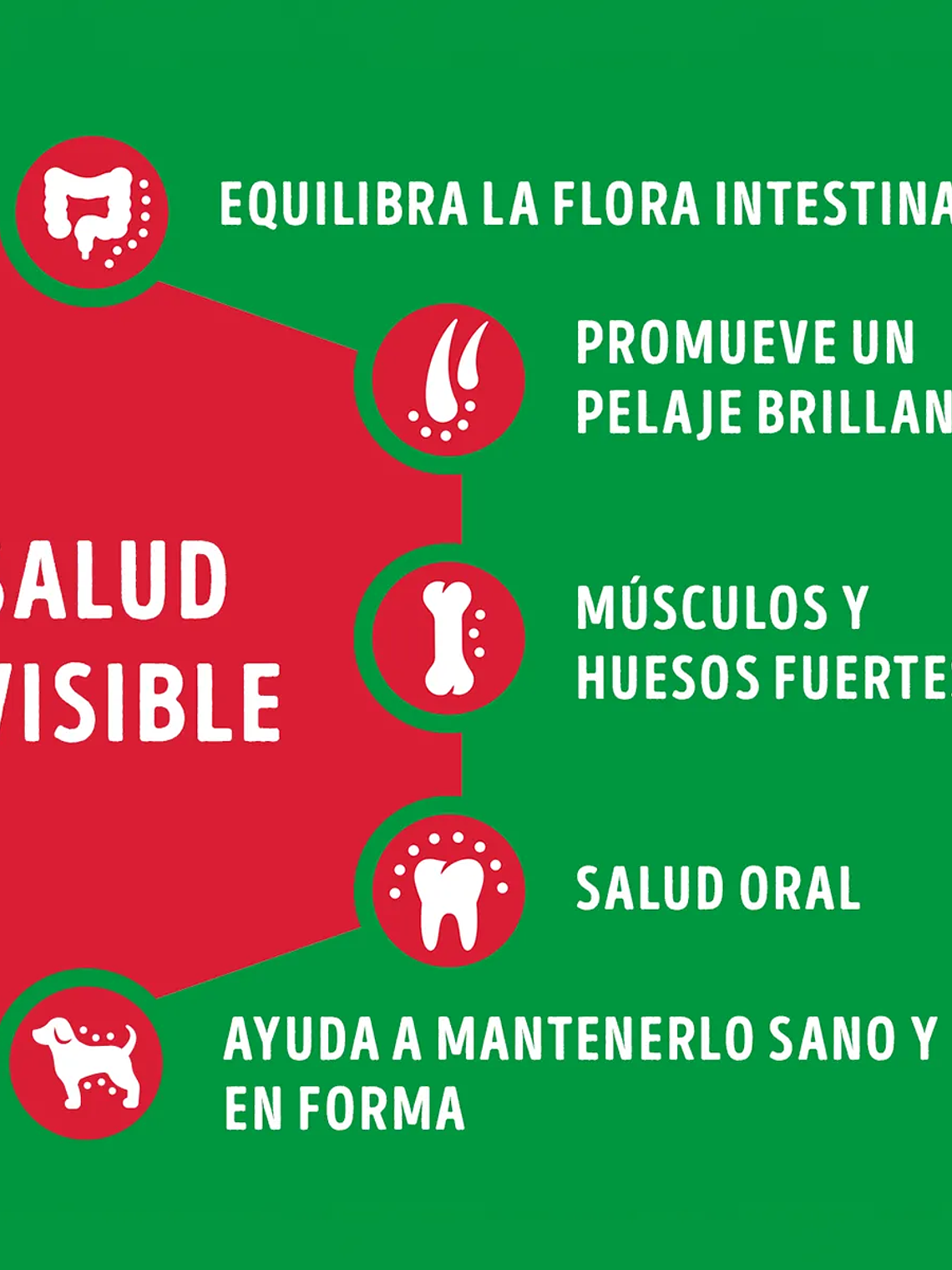 DOG CHOW EXTRALIFE ADULTO MEDIANOS Y GRANDES CARNE/POLLO 24 KG 4