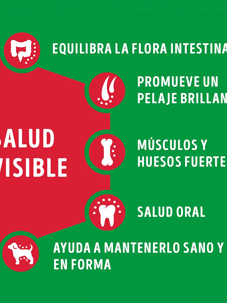 DOG CHOW EXTRALIFE ADULTO MEDIANOS Y GRANDES CARNE/POLLO 24 KG 4