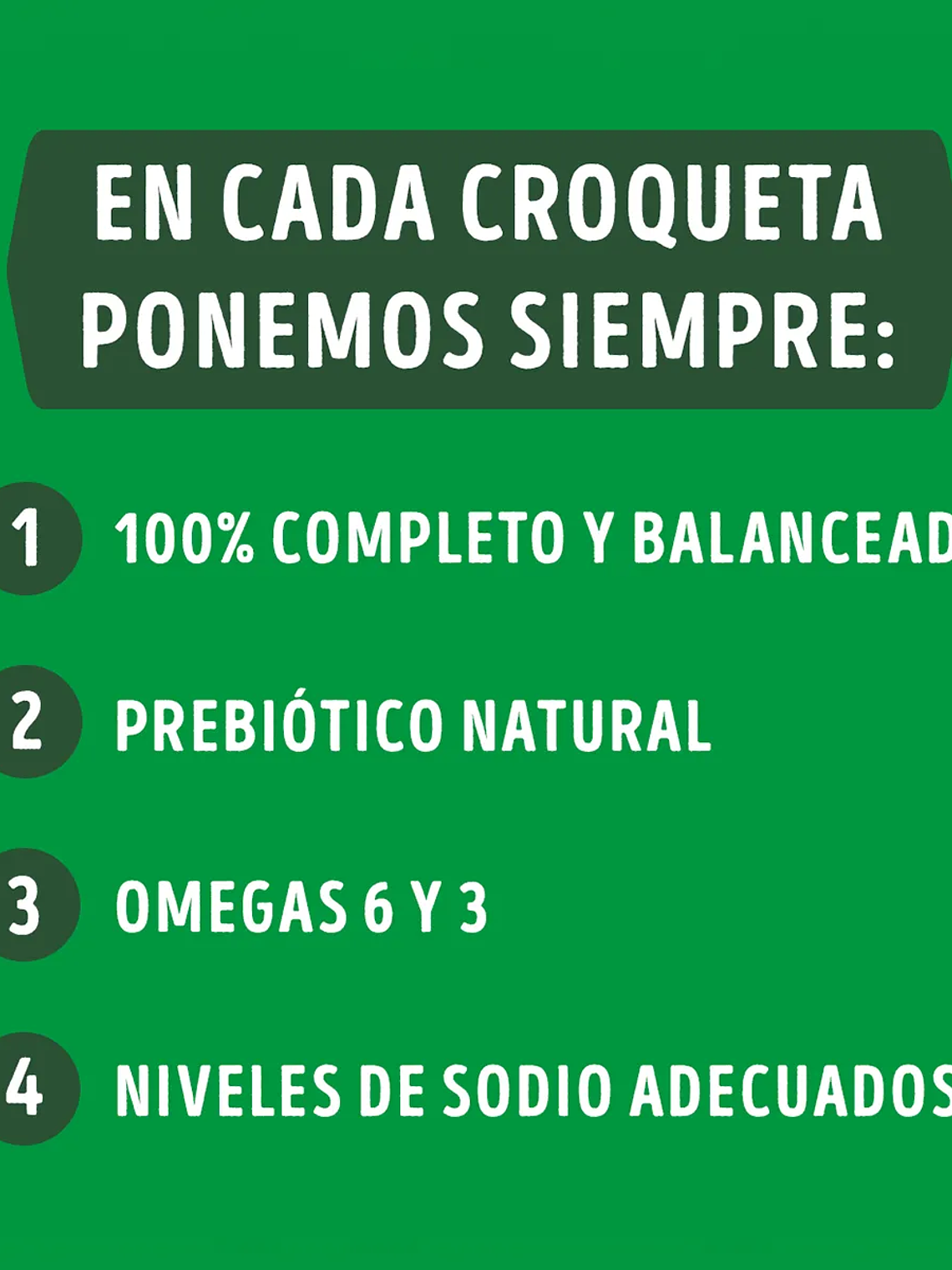 DOG CHOW EXTRALIFE ADULTO MEDIANOS Y GRANDES CARNE/POLLO 24 KG 5