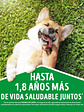 DOG CHOW EXTRALIFE ADULTO MEDIANOS Y GRANDES CARNE/POLLO 24 KG - Miniatura 7