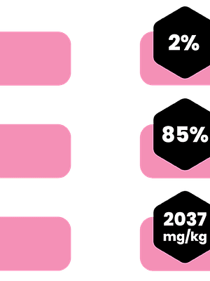 AMITY CHICKEN AND DUCK ADULT CAT WET FOOD 80 GR