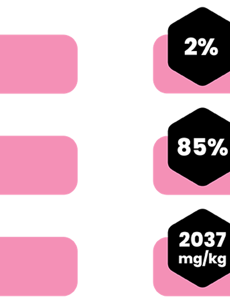 AMITY CHICKEN AND DUCK ADULT CAT WET FOOD 80 GR 2