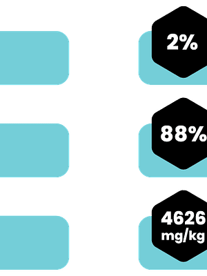 AMITY HAKE WITH COD AND TUNA STERILIZED CAT WET FOOD 80 GR