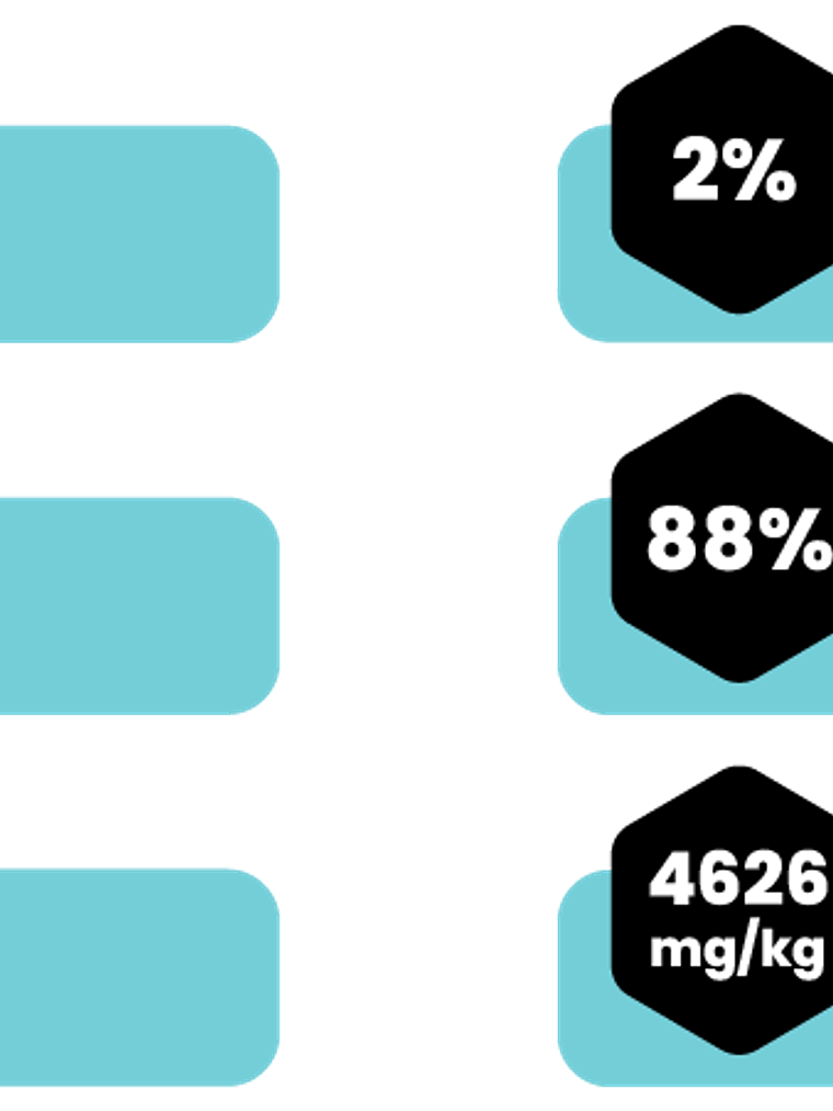 AMITY HAKE WITH COD AND TUNA STERILIZED CAT WET FOOD 80 GR 2